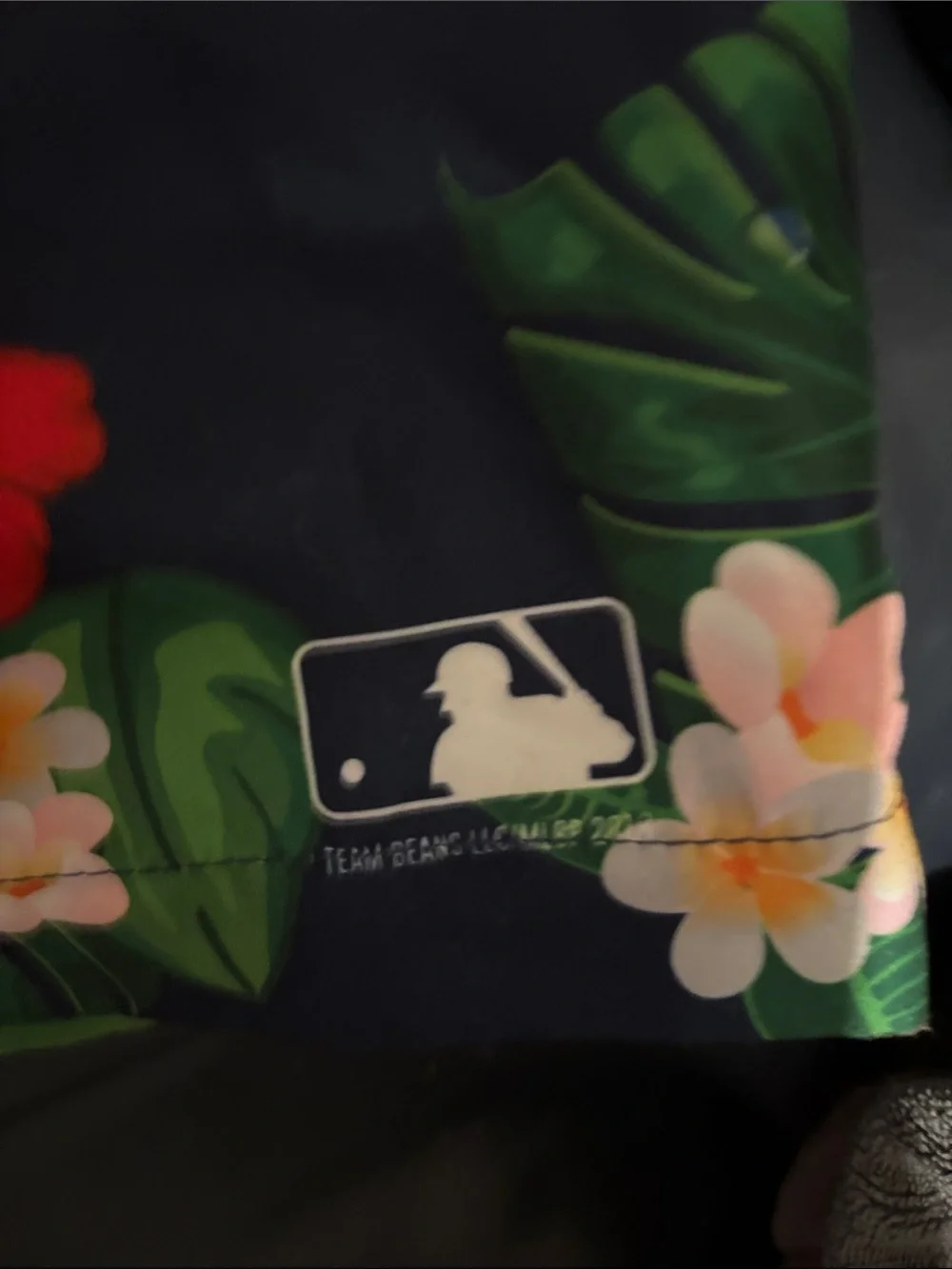 Men's Boston Red Sox  Swim Bermudas with Red Sox Accent
